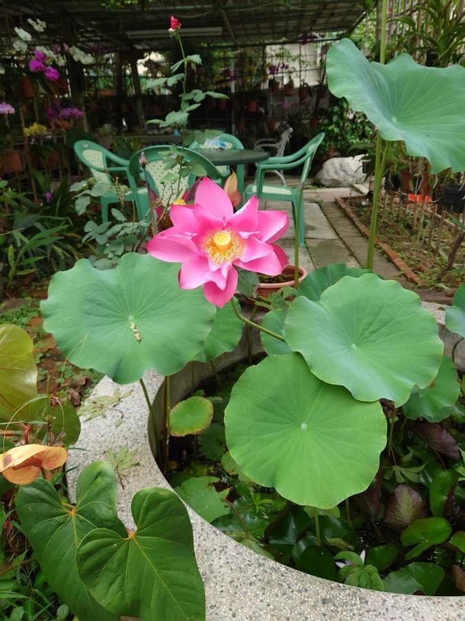 Minxiong Garden Hostel מראה חיצוני תמונה