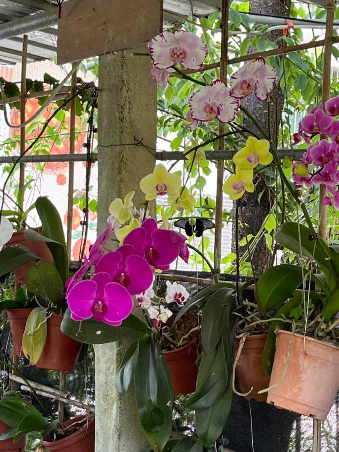 Minxiong Garden Hostel מראה חיצוני תמונה