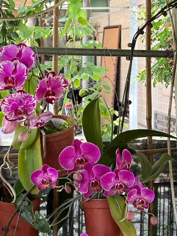 Minxiong Garden Hostel מראה חיצוני תמונה