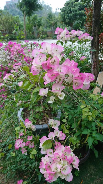 Minxiong Garden Hostel מראה חיצוני תמונה