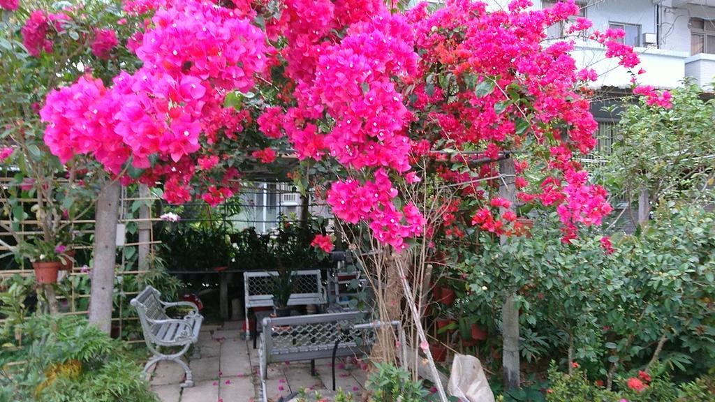 Minxiong Garden Hostel מראה חיצוני תמונה