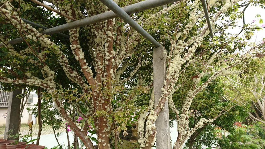 Minxiong Garden Hostel מראה חיצוני תמונה