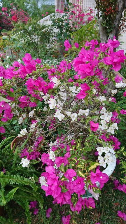 Minxiong Garden Hostel מראה חיצוני תמונה