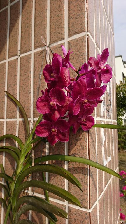 Minxiong Garden Hostel מראה חיצוני תמונה